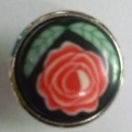 CTD0430