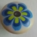 CTD0437