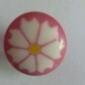 CTD0438