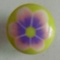 CTD0440