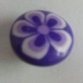 CTD0443