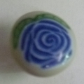 CTD0444