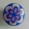 CTD0445
