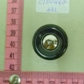 CTD0484