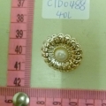 CTD0488
