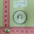 CTD0489