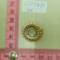 CTD0490