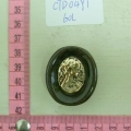CTD0491