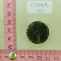 CTD0495