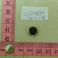 CTD0499
