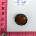 CTD0518