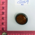 CTD0519