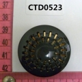 CTD0523