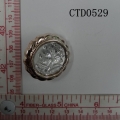 CTD0529