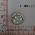 CTD0530