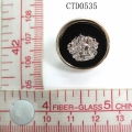 CTD0535
