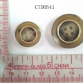 CTD0541