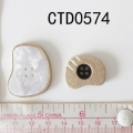 CTD0574
