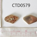 CTD0579