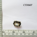CTD0607