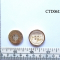 CTD0613