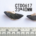 CTD0617