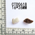 CTD0618