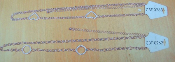 CBT0262-0263