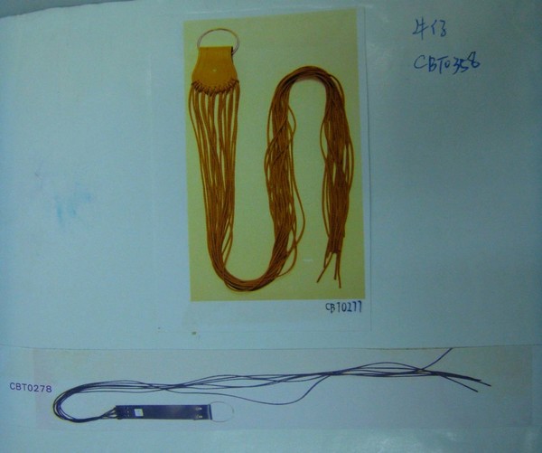 CBT0277-0278