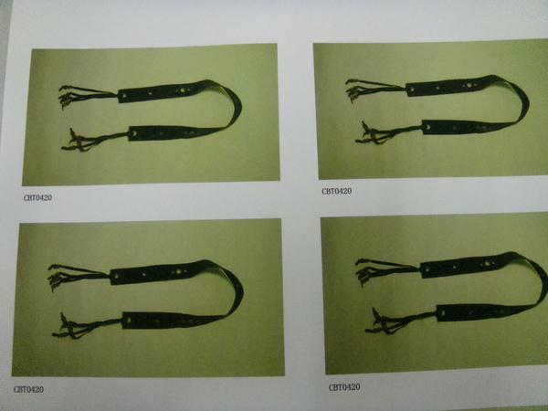 CBT0420