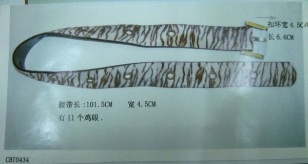 CBT0434