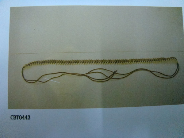 CBT0443