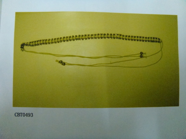 CBT0493