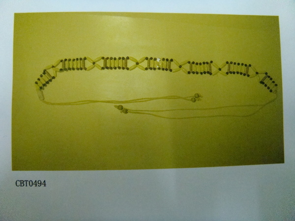 CBT0494