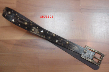 CBT1304