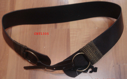 CBT1305
