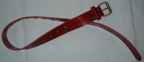 CBT1480