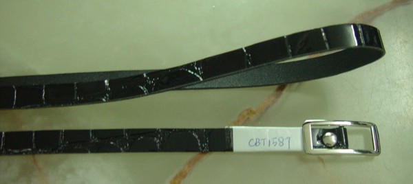 CBT1587-2