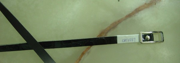 CBT1587