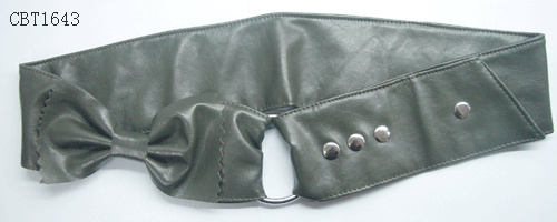 CBT1643