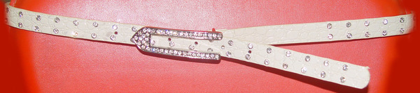 CBT1676