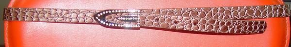 CBT1677