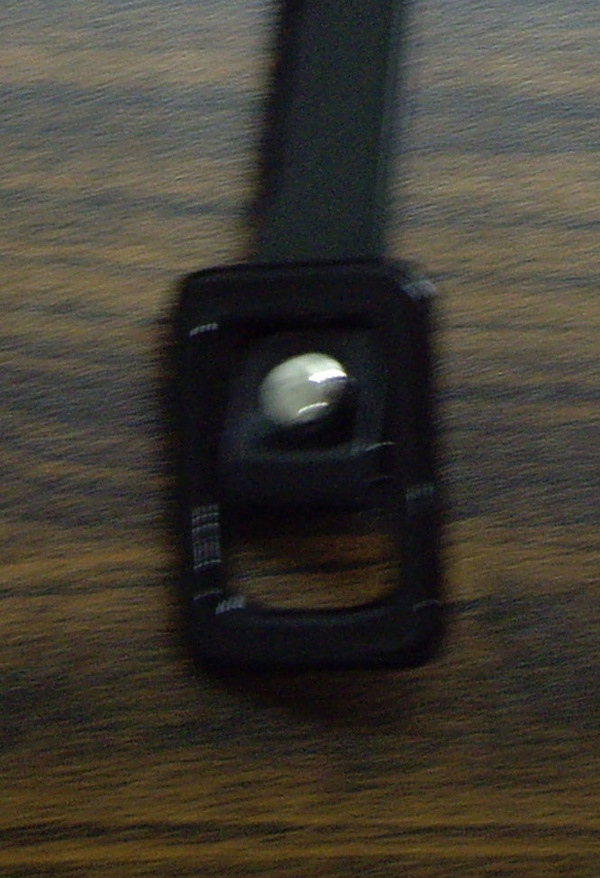 CBT1731-BUCKEL