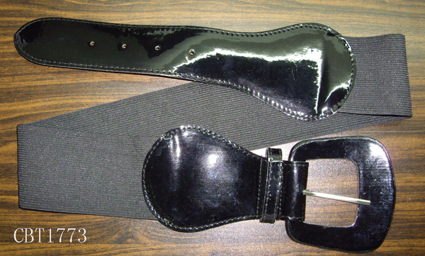 CBT1773