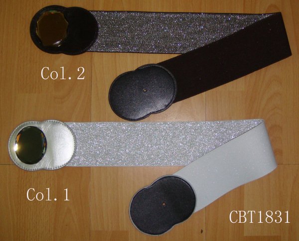 CBT1831