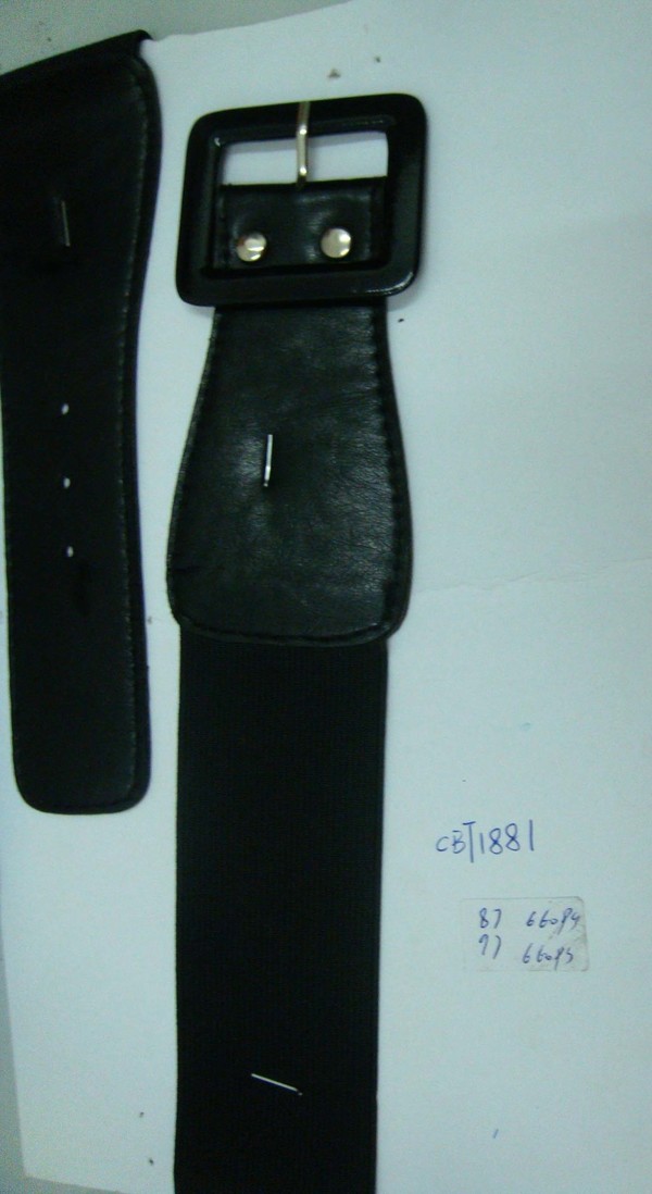 CBT1881