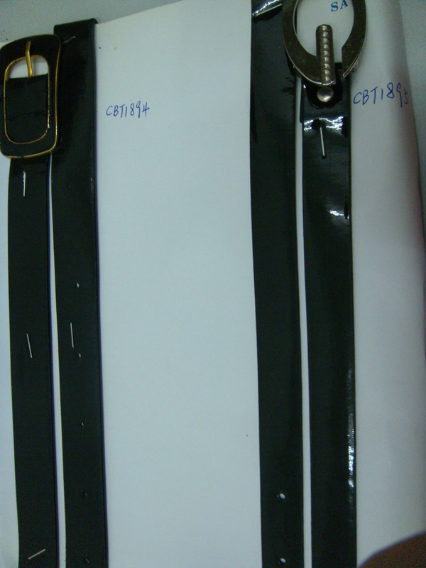 CBT1894-1895