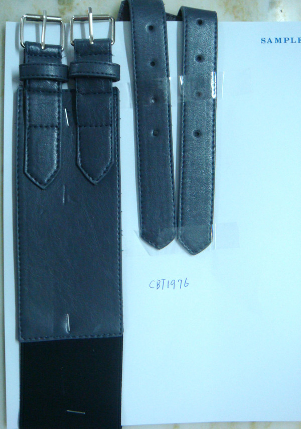 CBT1976