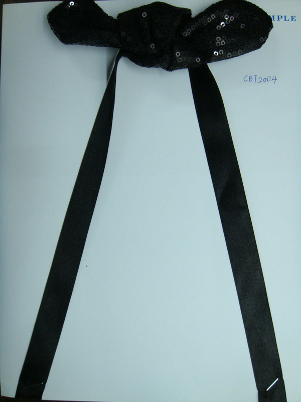 CBT2004