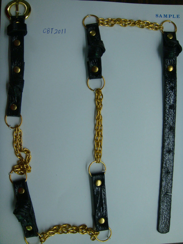 CBT2011